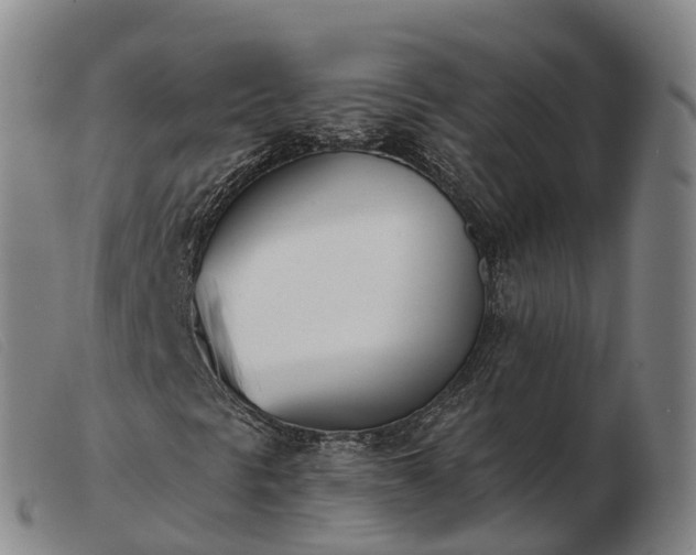 X0000103441297200809191715