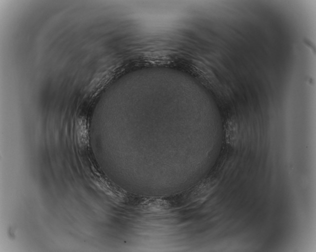 X0000103441298200809191715