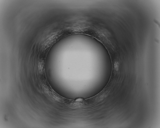 X0000103441300200809191715
