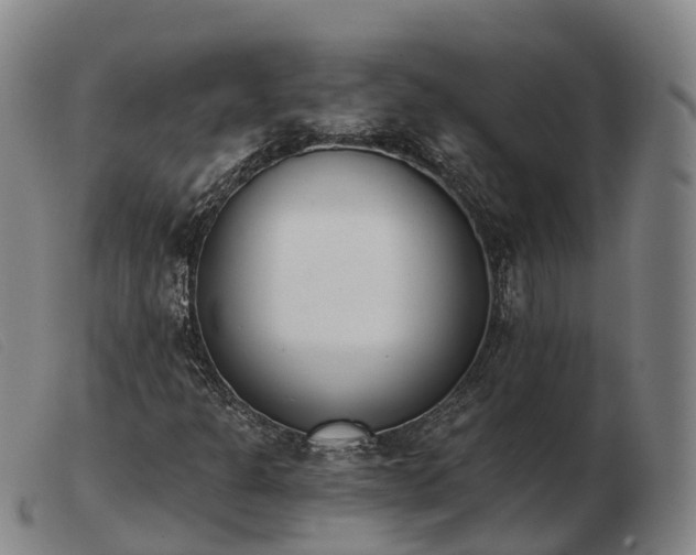 X0000103441301200809191715