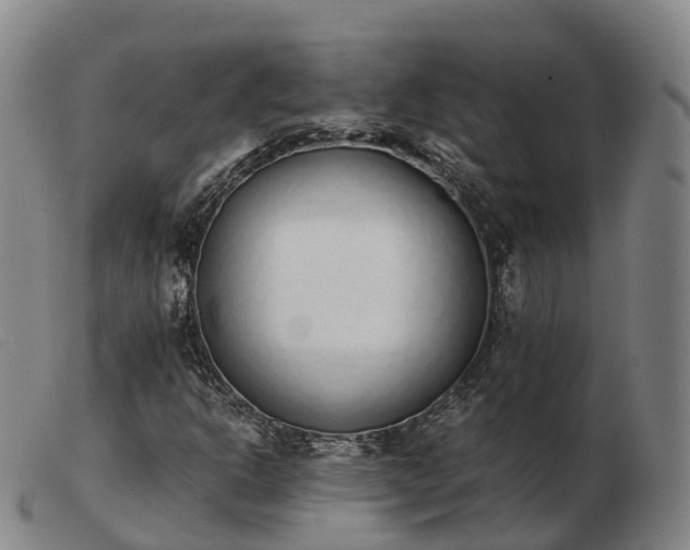 X0000103441302200809191715