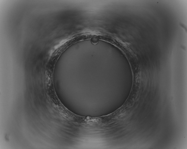 X0000103441303200809191715
