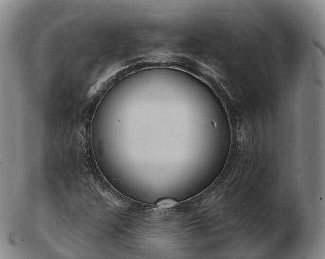 X0000103441304200809191715