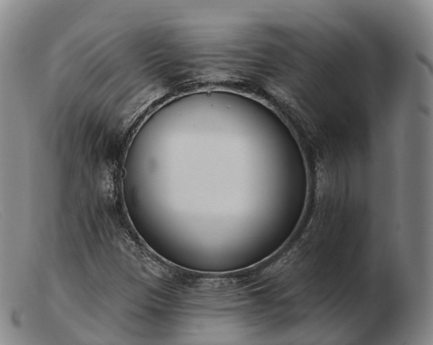 X0000103441305200809191715