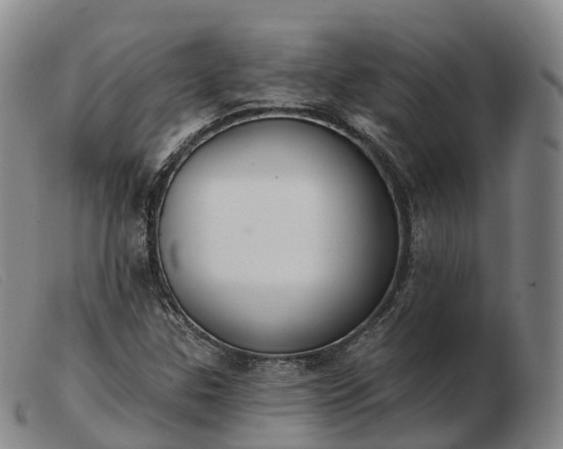 X0000103441307200809191715