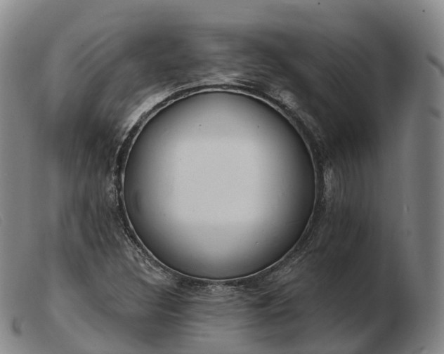 X0000103441308200809191715