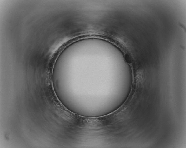 X0000103441310200809191715