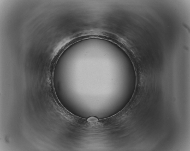 X0000103441312200809191715