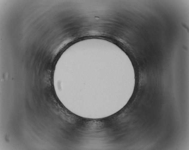 X0000103441314200809191715