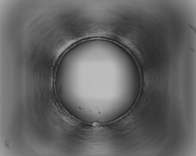 X0000103441316200809191715