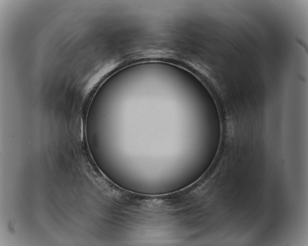 X0000103441317200809191715