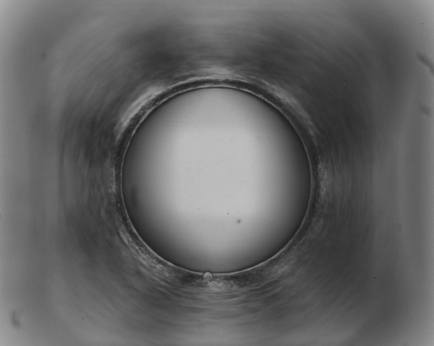 X0000103441318200809191715