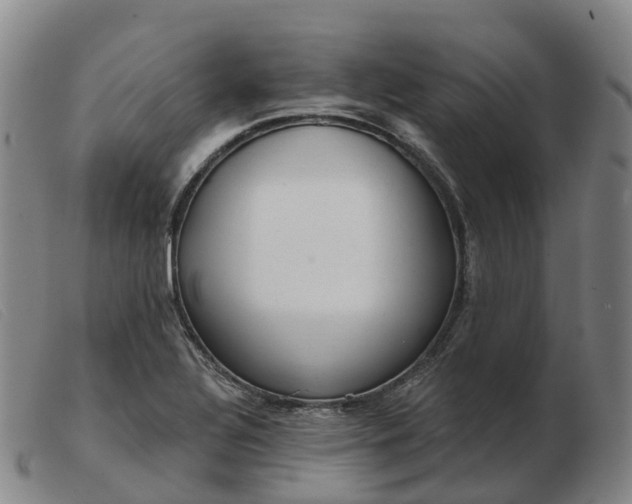 X0000103441320200809191715
