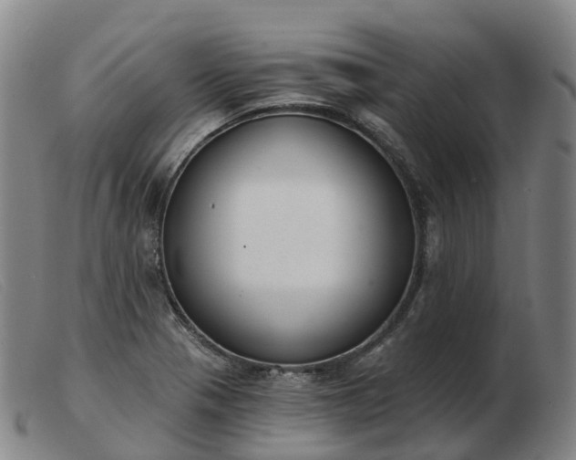 X0000103441321200809191715
