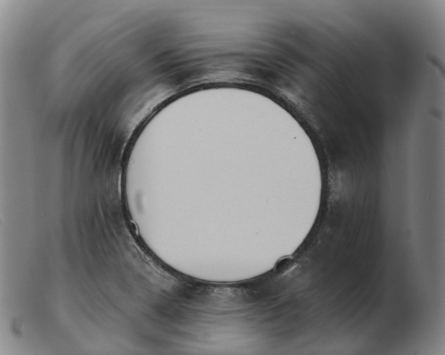 X0000103441322200809191715
