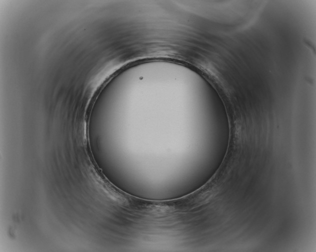 X0000103441324200809191715