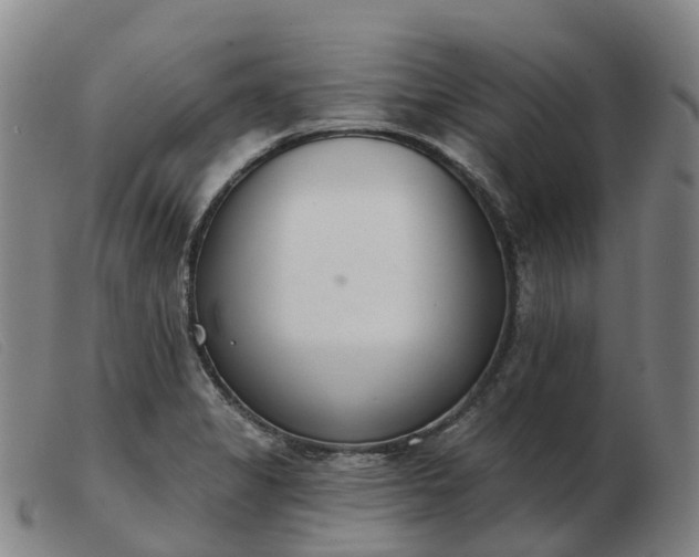 X0000103441325200809191715