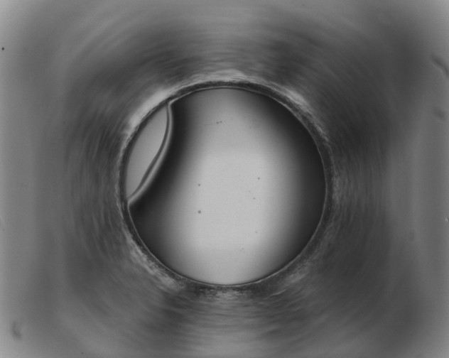 X0000103441326200809191715