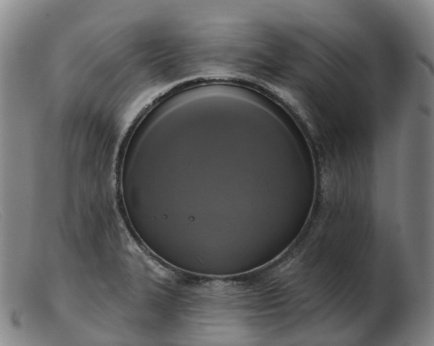 X0000103441327200809191715