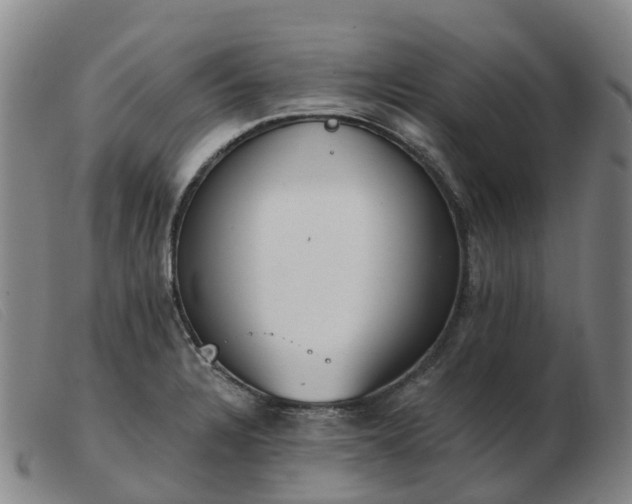 X0000103441328200809191715