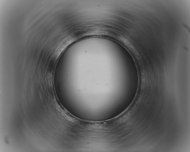 X0000103441329200809191715