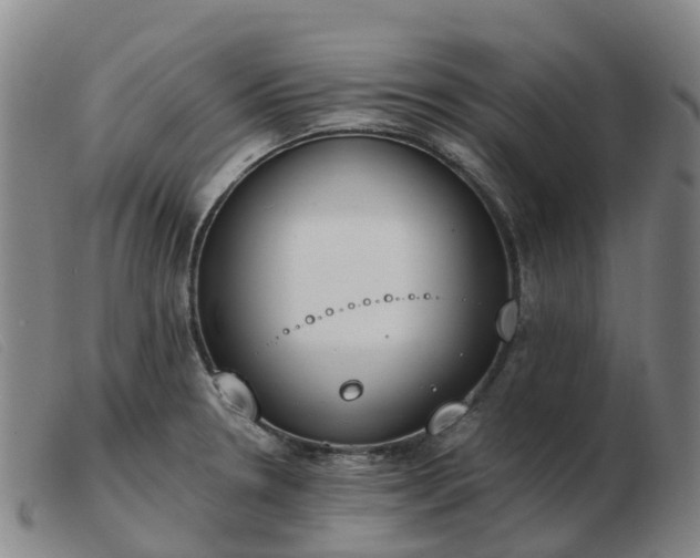 X0000103441330200809191715