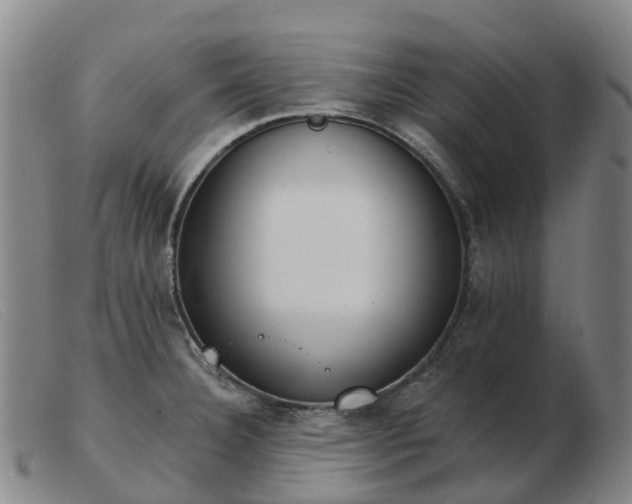 X0000103441332200809191715