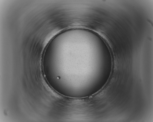 X0000103441333200809191715