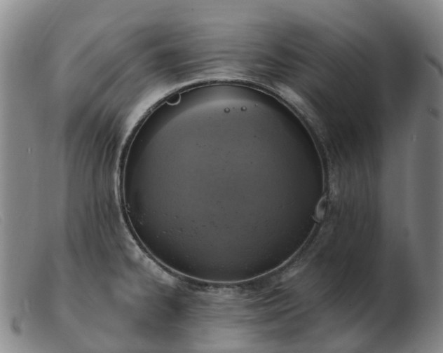 X0000103441334200809191715