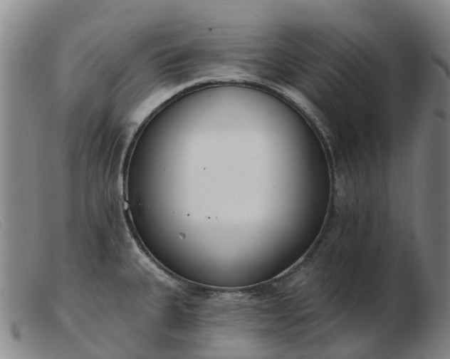 X0000103441335200809191715