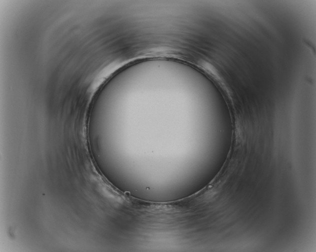 X0000103441336200809191715