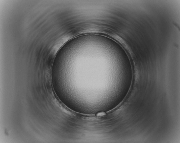 X0000103441337200809191715
