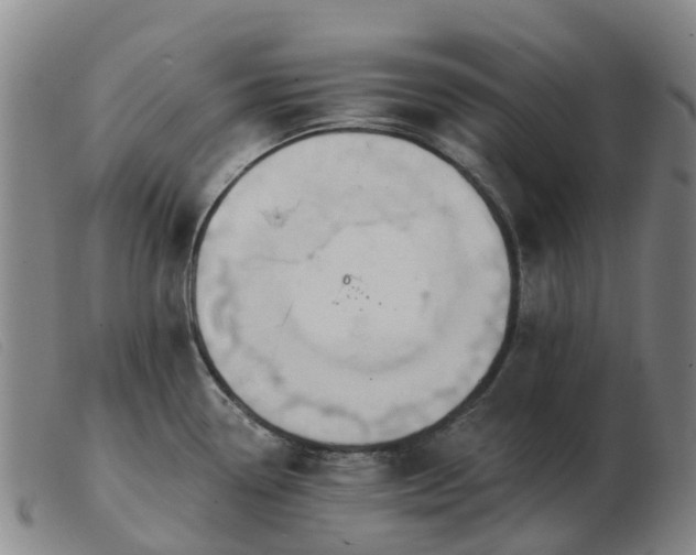 X0000103441338200809191715