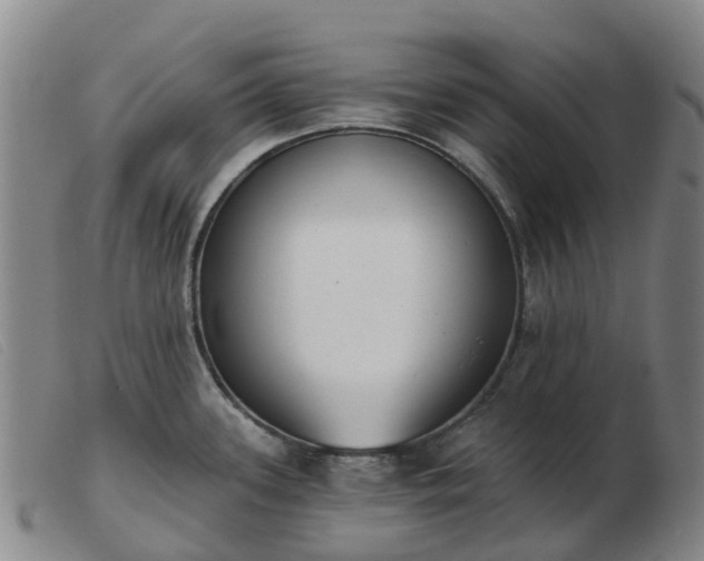 X0000103441339200809191715