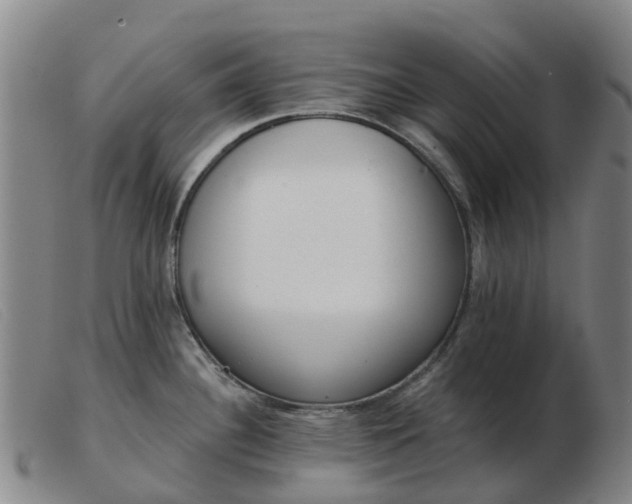 X0000103441340200809191715