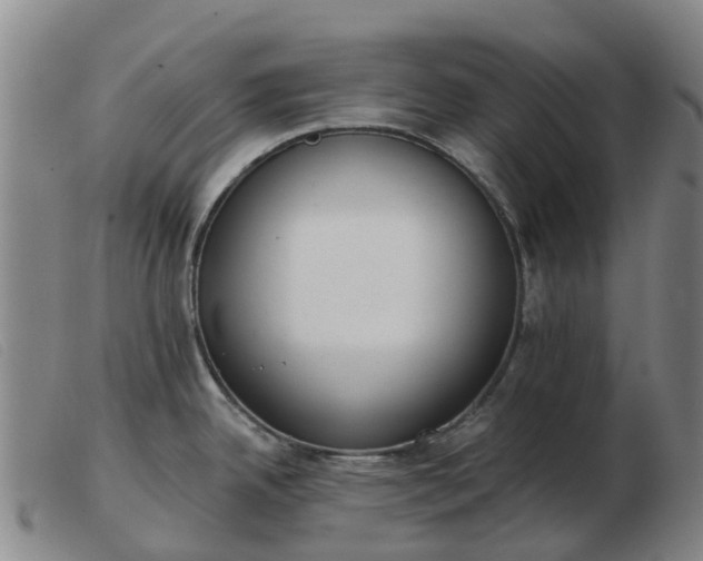 X0000103441342200809191715
