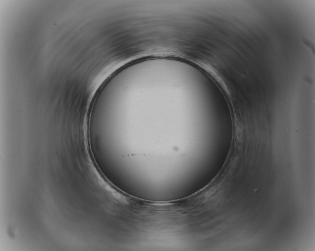 X0000103441343200809191715