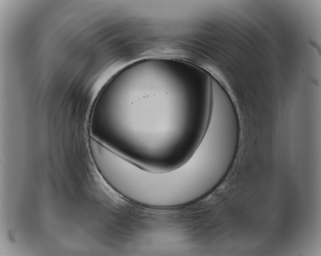 X0000103441344200809191715