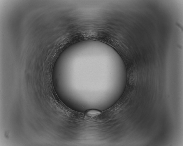 X0000103441345200809191715