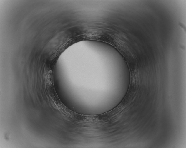 X0000103441346200809191715