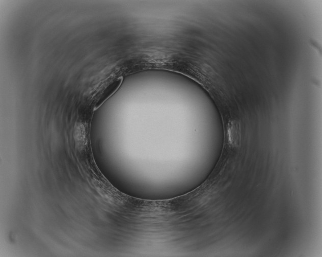 X0000103441347200809191715