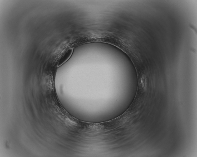 X0000103441348200809191715