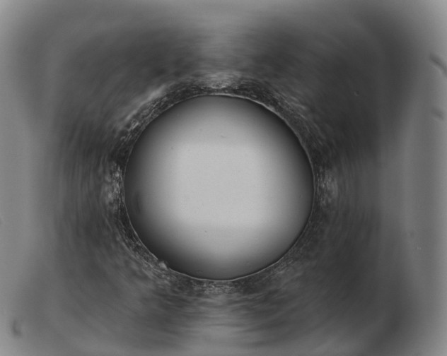 X0000103441349200809191715