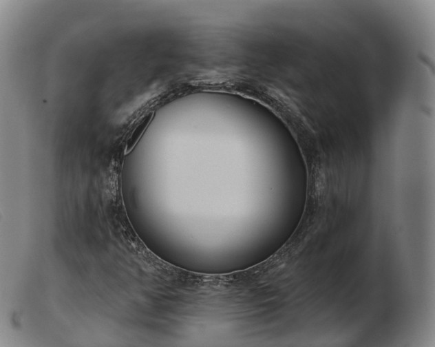 X0000103441350200809191715