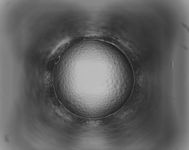 X0000103441351200809191715