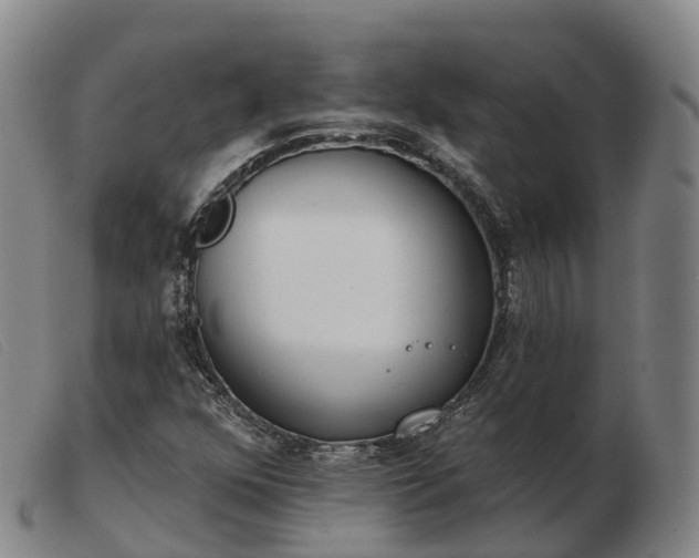X0000103441352200809191715
