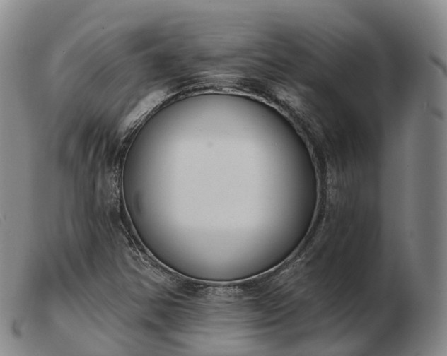 X0000103441354200809191715