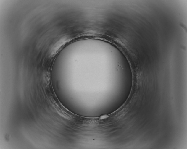 X0000103441355200809191715