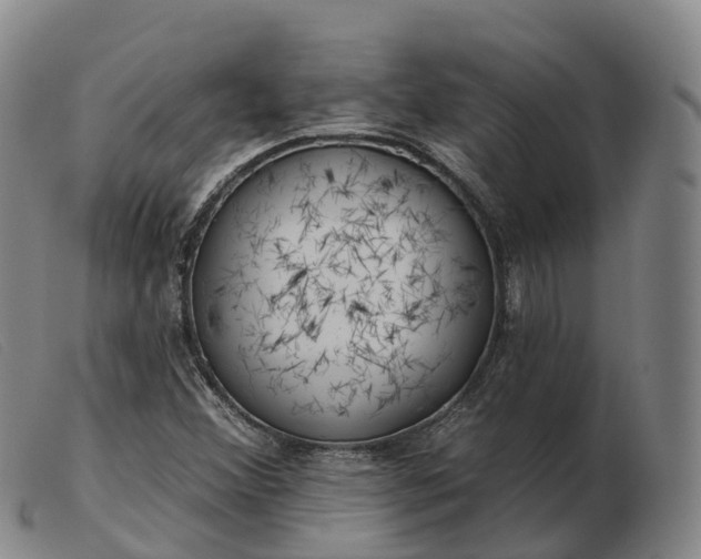 X0000103441356200809191715