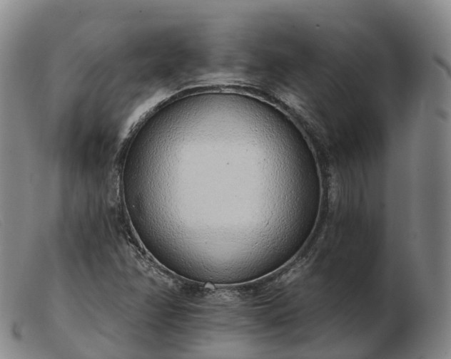 X0000103441358200809191715